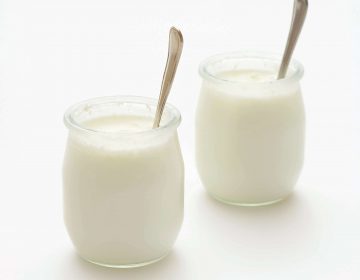 Iogurte e leites fermentados